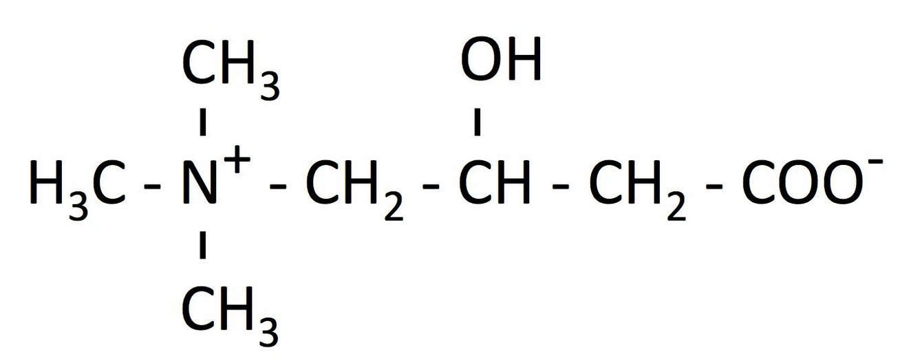 Estructura molecular