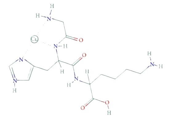 Estructura molecular