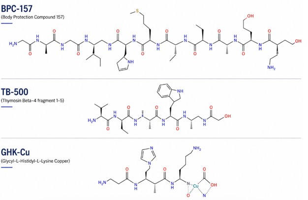 Estructura molecular