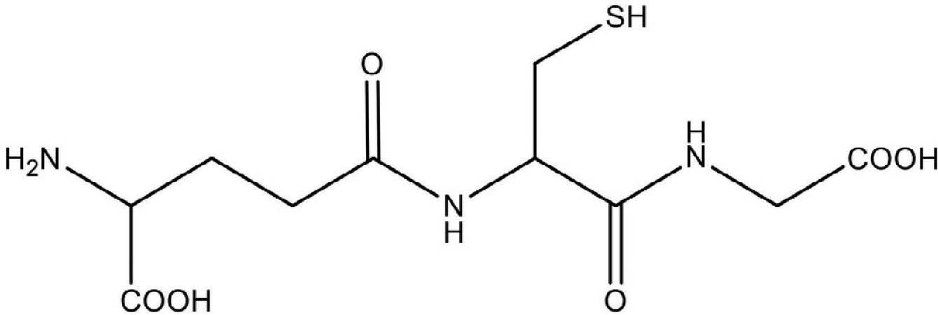 Estructura molecular