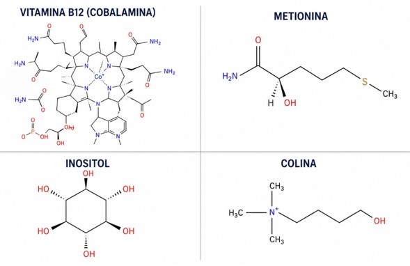 Estructura molecular
