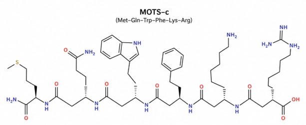 Estructura molecular