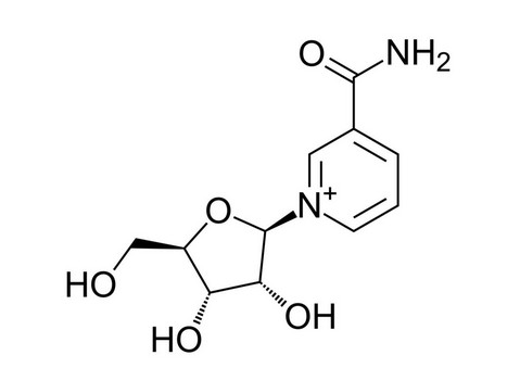Estructura molecular